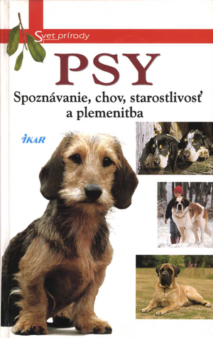 Psy