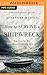 How to Survive a Shipwreck: Help Is on the Way and Love Is Already Here