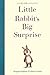 Little Rabbit's Big Surprise
