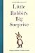 Little Rabbit's Big Surprise by Swapna Haddow