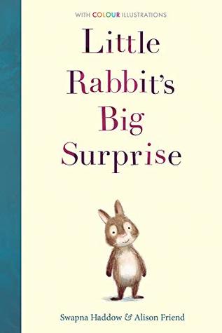 Little Rabbit's Big Surprise (Colour Fiction)
