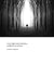 where light meets darkness : a pilgrim's sacred muse
