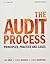 The Audit Process