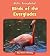Birds of the Everglades by Howie Minsky