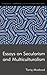 Essays on Secularism and Mu...