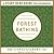 Forest Bathing (A Start Here Guide for Beginners)