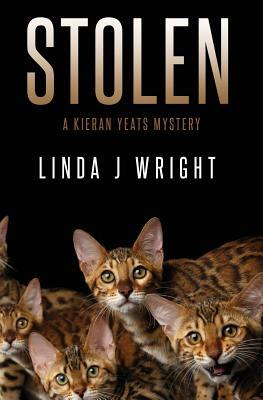 Stolen: A Kieran Yeats Mystery (Kindle Edition)