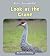 Look at the Crane by Howie Minsky