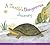 A Turtle's Dangerous Journey (Animal Habitats at Risk)