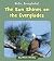 The Sun Shines on the Everg...