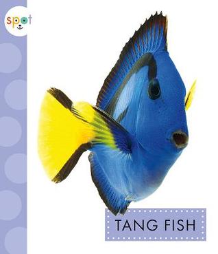 Tang Fish (Spot Ocean Animals)