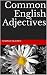 Common English Adjectives