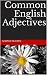 Common English Adjectives by Karma Nguyen