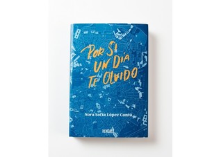 Por si un día te olvido