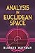 Analysis in Euclidean Space...