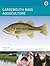 Largemouth Bass Aquaculture