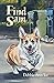 Find Sam
