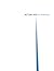Actual Air by David   Berman