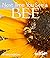 Next Time You See a Bee
