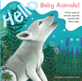 Hello Baby Animals!: A First Book of Animals and the Sounds that They Make