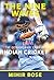 The Nine Waves: The Extraordinary Story of Indian Cricket
