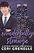 Wonderfully Strange (Stupid Awesome Love, #4.5)