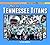 Meet the Tennessee Titans (Big Picture Sports)