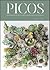 Picos: Guia para Escolher, Cuidar e Dispor Catos e Suculentas