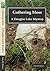 Gathering Moss - A Douglas Lake Mystery by Eric M. Howe