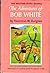 The Adventures of Bob White (Bedtime Story Books, 19)