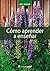 Cómo Aprender a Enseñar (Spanish Edition)