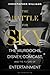 The Battle for Sky: The Murdochs, Disney, Comcast and the Future of Entertainment