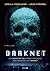 Darknet (Buchholz & Salomon, #1)