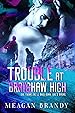 Image for Trouble at Brayshaw High