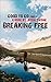 Breaking Free (Good To Go Book 1)