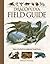 Dracopedia Field Guide: Dragons of the World from Amphipteridae through Wyvernae