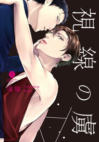 視線の虜 [Shisen no Toriko] (Paperback)