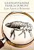 La encantadora familia Dumont (Nuevos Tiempos nº 427) (Spanish Edition)