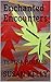 Enchanted Encounters: TERES...