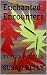 Enchanted Encounters: TERESA HOLMES
