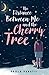 The Distance between Me and the Cherry Tree