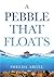 A Pebble That Floats: A Memoir to Inspire