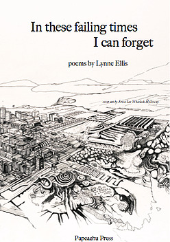 In These Failing Times I Can Forget