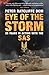 Eye of the Storm: Twenty-Five Years In Action With The SAS
