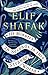 10 Minutes 38 Seconds in this Strange World by Elif Shafak