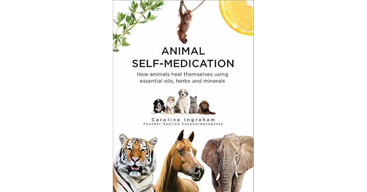 Animal SelfMedication How animals heal themselves using essential