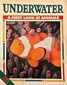 Underwater a First Look At Animals (Jump! Starts)