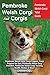 Pembroke Welsh Corgi And Co...