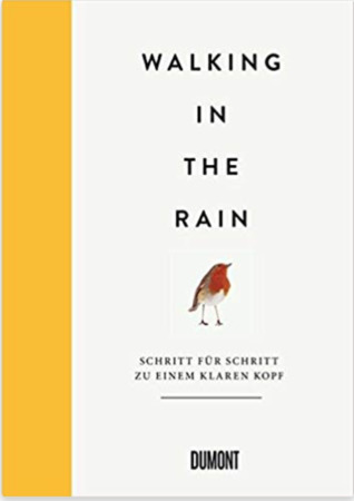Walking in the Rain: Schritt für Schritt zu einem klaren Kopf