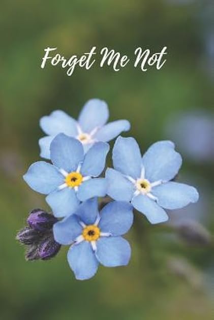 Forget Me Not: Internet Password Logbook Organizer with Alphabetical Tabs, Large Print for Easy Password Keeping